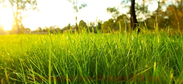 短信轰炸网页版